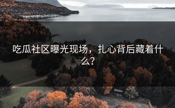 吃瓜社区曝光现场，扎心背后藏着什么？