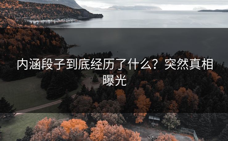 内涵段子到底经历了什么？突然真相曝光