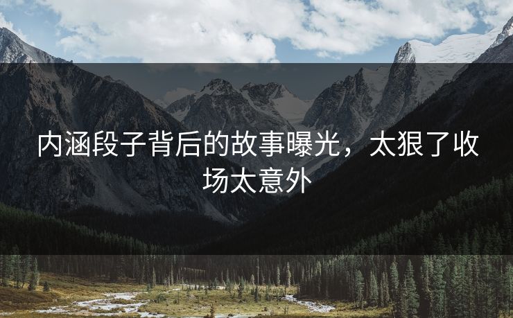 内涵段子背后的故事曝光，太狠了收场太意外