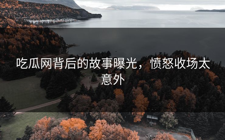 吃瓜网背后的故事曝光，愤怒收场太意外