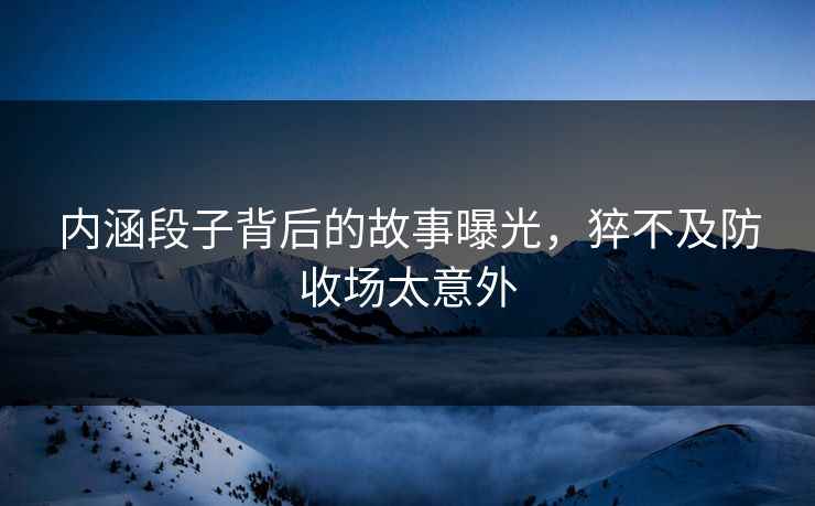 内涵段子背后的故事曝光，猝不及防收场太意外