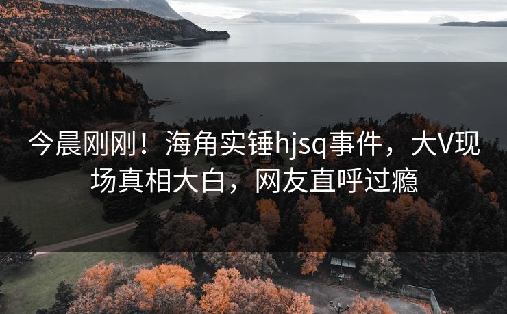 今晨刚刚！海角实锤hjsq事件，大V现场真相大白，网友直呼过瘾