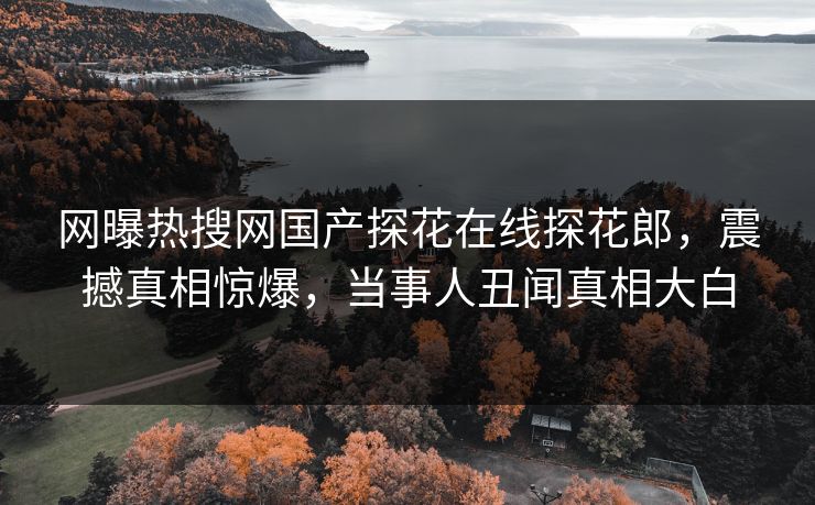 网曝热搜网国产探花在线探花郎，震撼真相惊爆，当事人丑闻真相大白