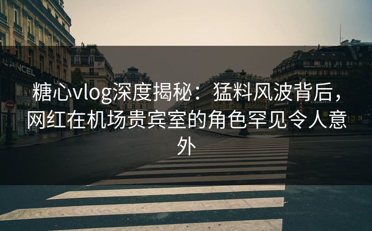 糖心vlog深度揭秘：猛料风波背后，网红在机场贵宾室的角色罕见令人意外