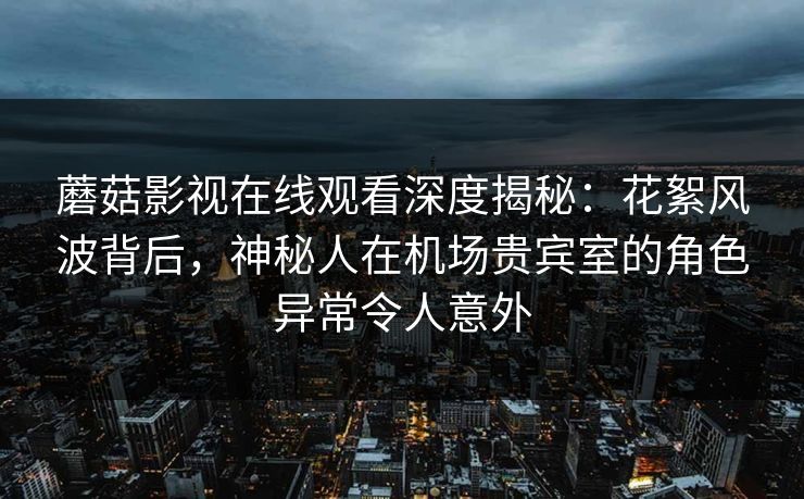 蘑菇影视在线观看深度揭秘：花絮风波背后，神秘人在机场贵宾室的角色异常令人意外