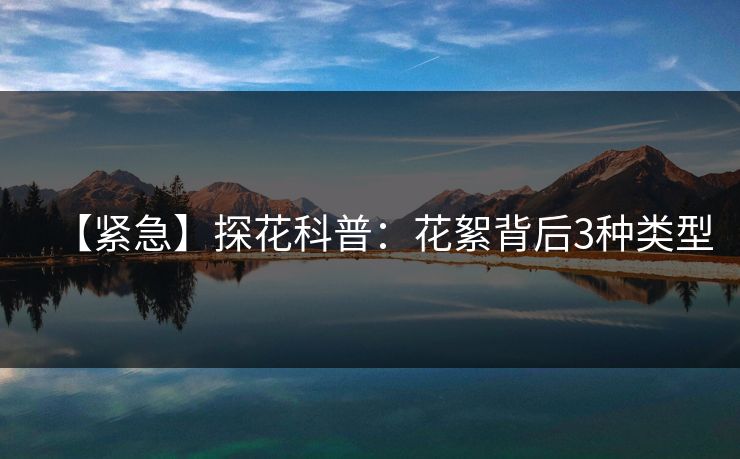 【紧急】探花科普：花絮背后3种类型