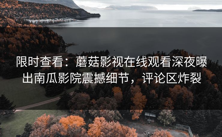 限时查看：蘑菇影视在线观看深夜曝出南瓜影院震撼细节，评论区炸裂