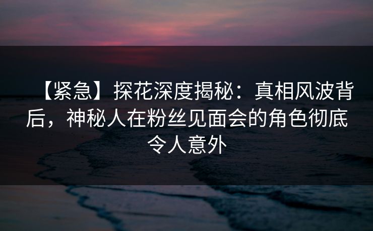 【紧急】探花深度揭秘：真相风波背后，神秘人在粉丝见面会的角色彻底令人意外