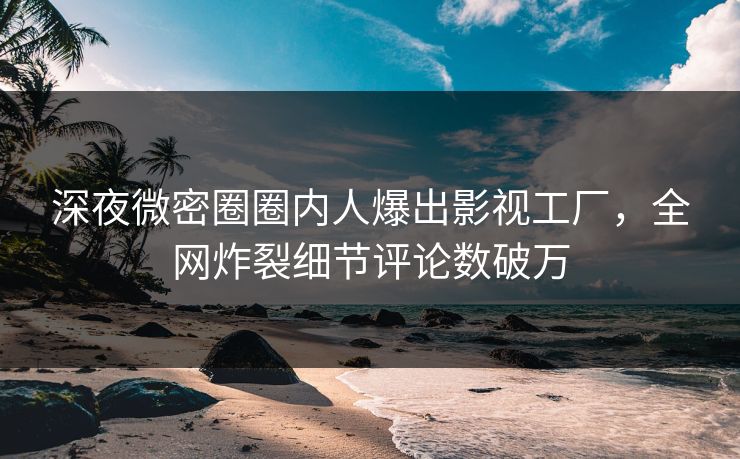 深夜微密圈圈内人爆出影视工厂，全网炸裂细节评论数破万