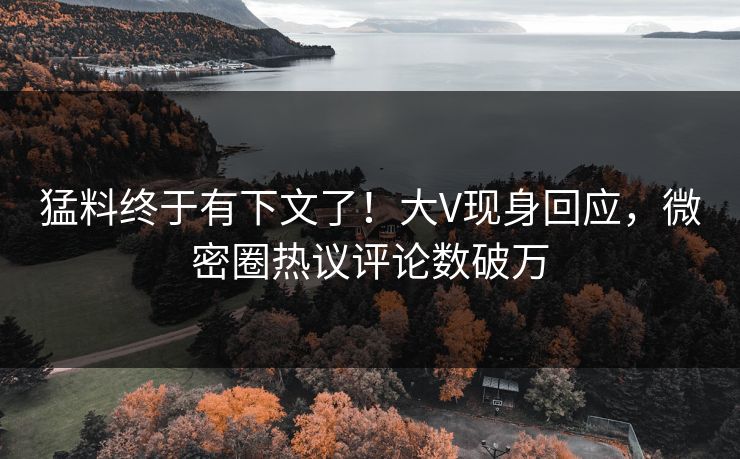 猛料终于有下文了！大V现身回应，微密圈热议评论数破万