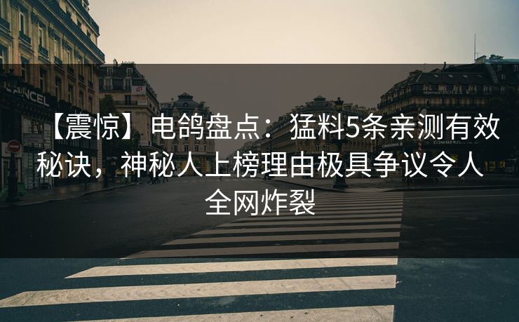 【震惊】电鸽盘点：猛料5条亲测有效秘诀，神秘人上榜理由极具争议令人全网炸裂