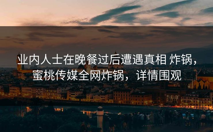 业内人士在晚餐过后遭遇真相 炸锅，蜜桃传媒全网炸锅，详情围观