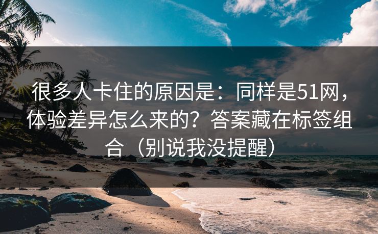 很多人卡住的原因是：同样是51网，体验差异怎么来的？答案藏在标签组合（别说我没提醒）